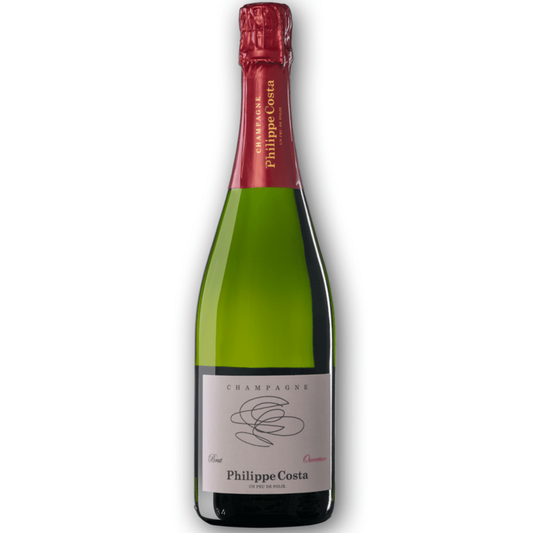 Phillippe Costa | Brut Ouverture