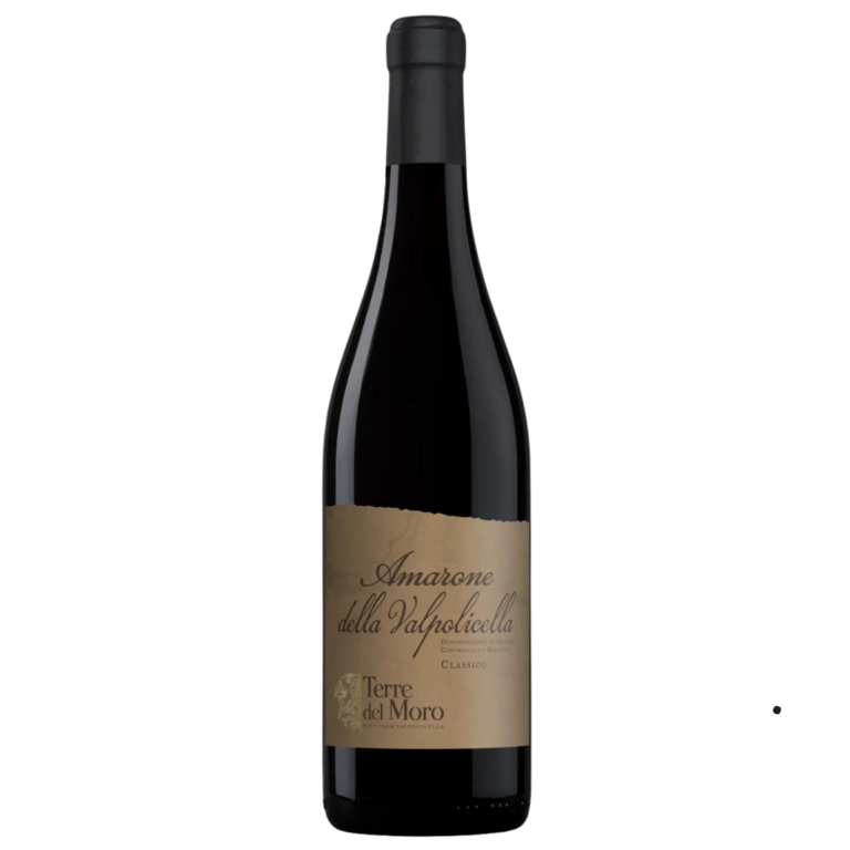 2021 Terre del Moro - Amarone DOCG